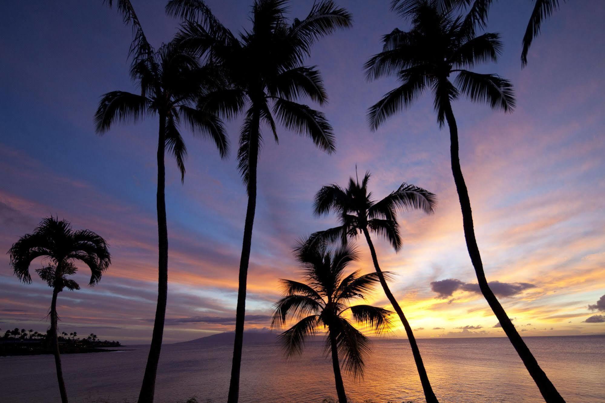 Napili Kai Beach Resort Kapalua Exteriér fotografie